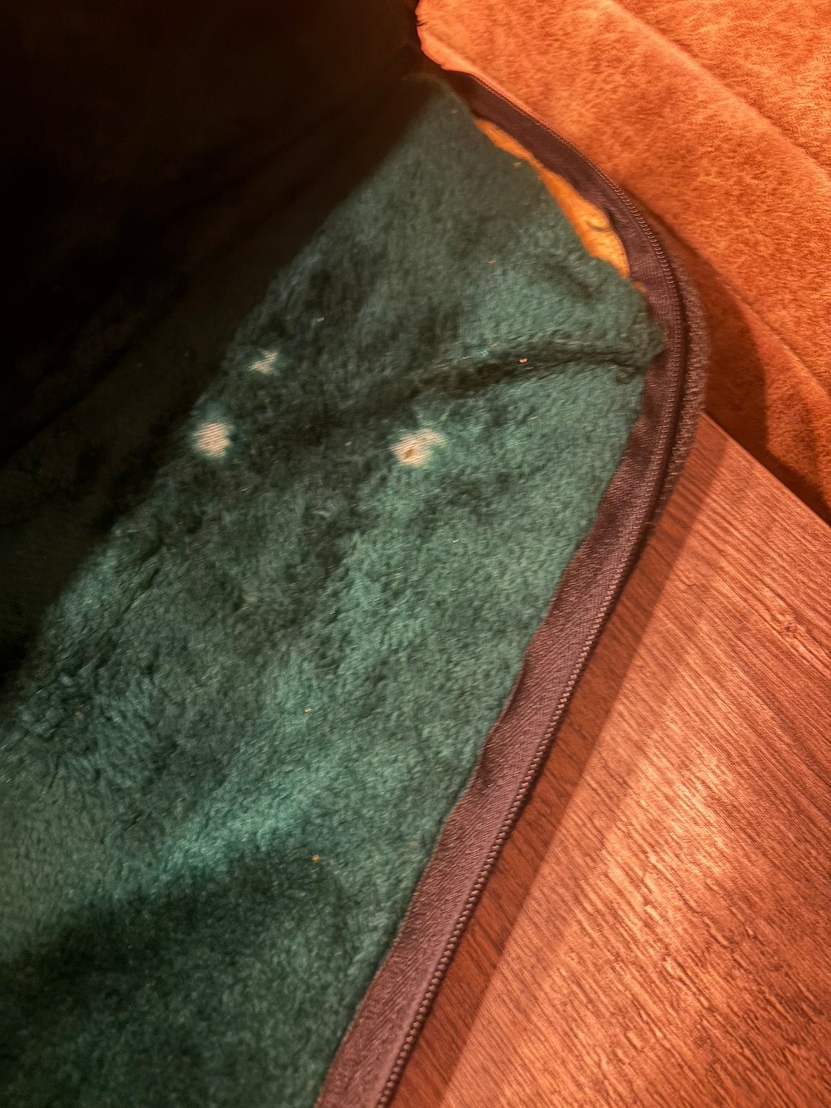 Foto 4 van Gibson gevoerde gigbag gitaartas