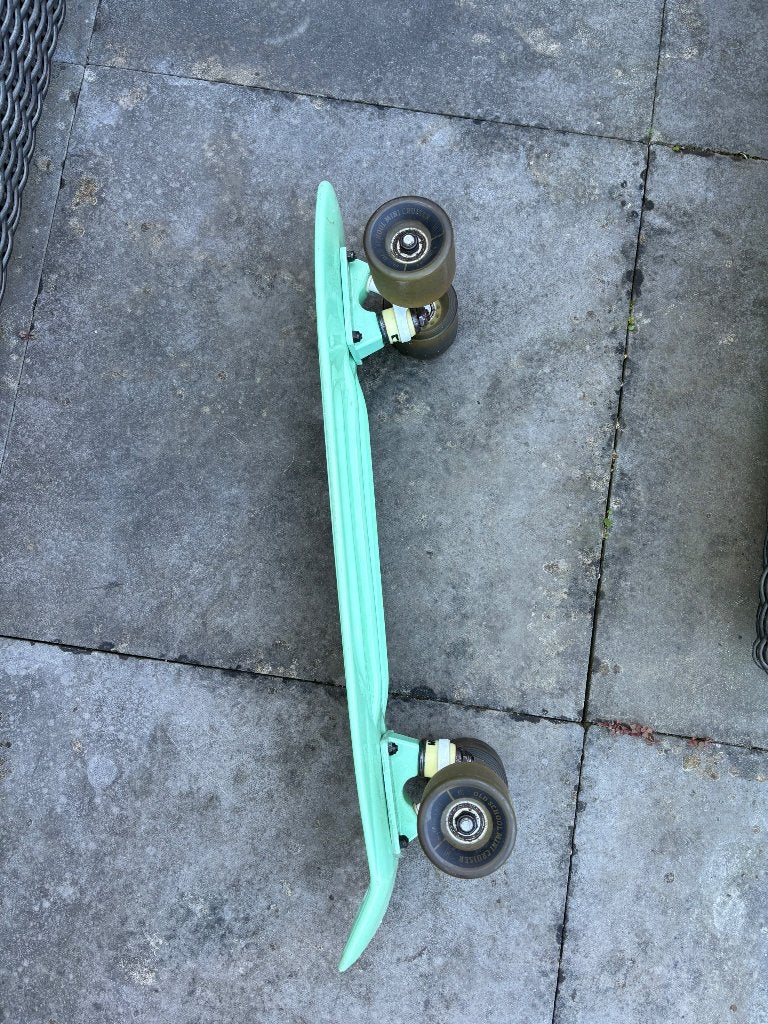 Penny board, Sport en Fitness, Skateboarden, Ophalen, Gebruikt, Skateboard