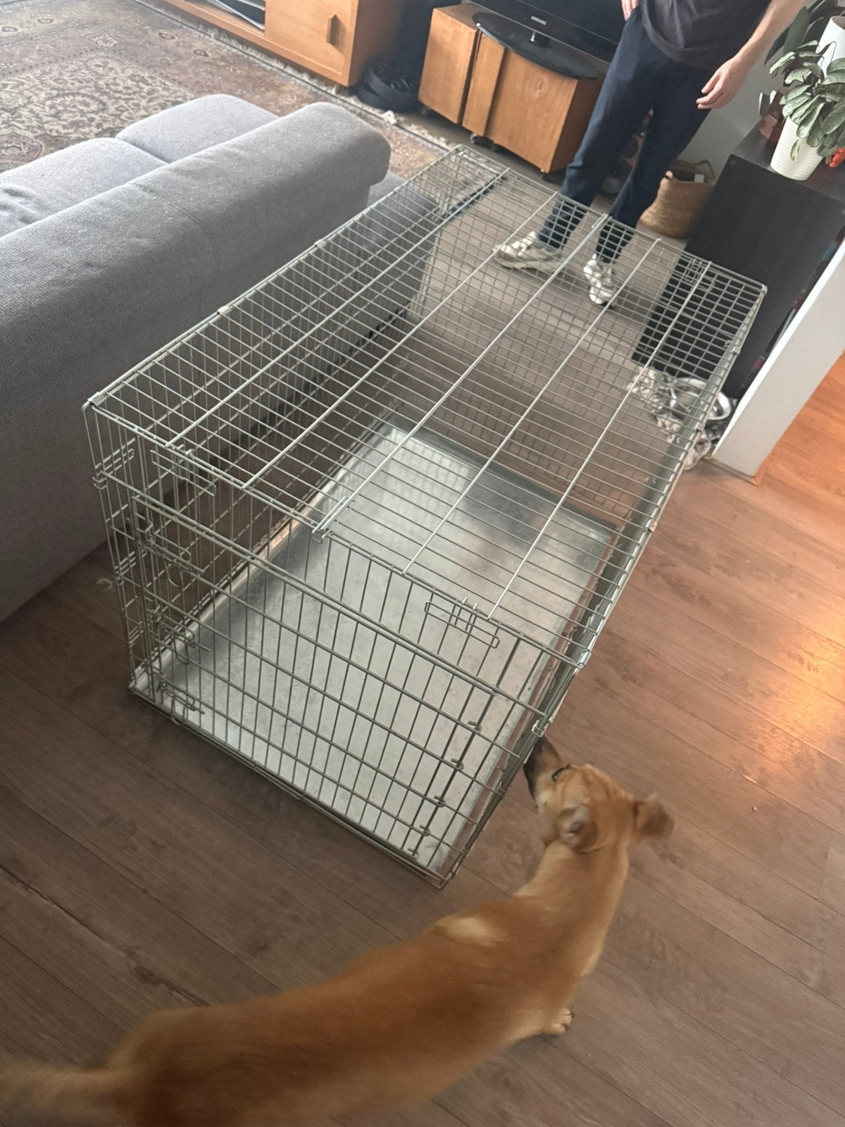 Hondenbench voor grote honden, Ophalen, Zo goed als nieuw