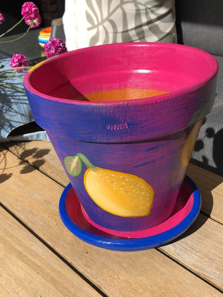Handgeschilderde terracotta bloempot en schotel, 25 tot 40 cm, Rond, Ophalen of Verzenden, Minder dan 40 cm