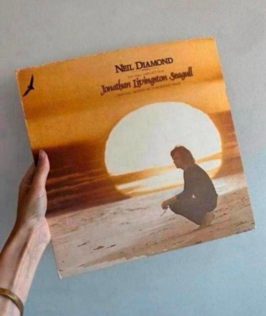 Vinyl neil diamond - jonathan livington seagull incl boek, Cd's en Dvd's, Vinyl | Pop, Ophalen of Verzenden, Zo goed als nieuw