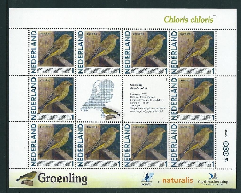 Vel persoonlijke zegels, Vogels Groenling postfris, Ophalen of Verzenden, Postfris