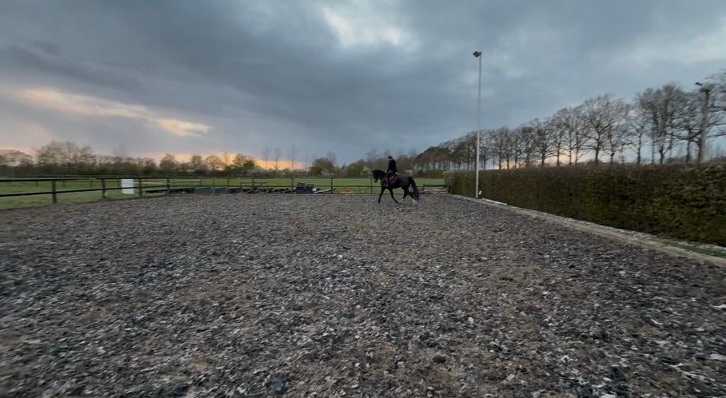 GRATIS toplaag paardenrijbak 23 ton – allweather mengsel, Dieren en Toebehoren, Paarden en Pony's | Overige Paardenspullen, Gebruikt