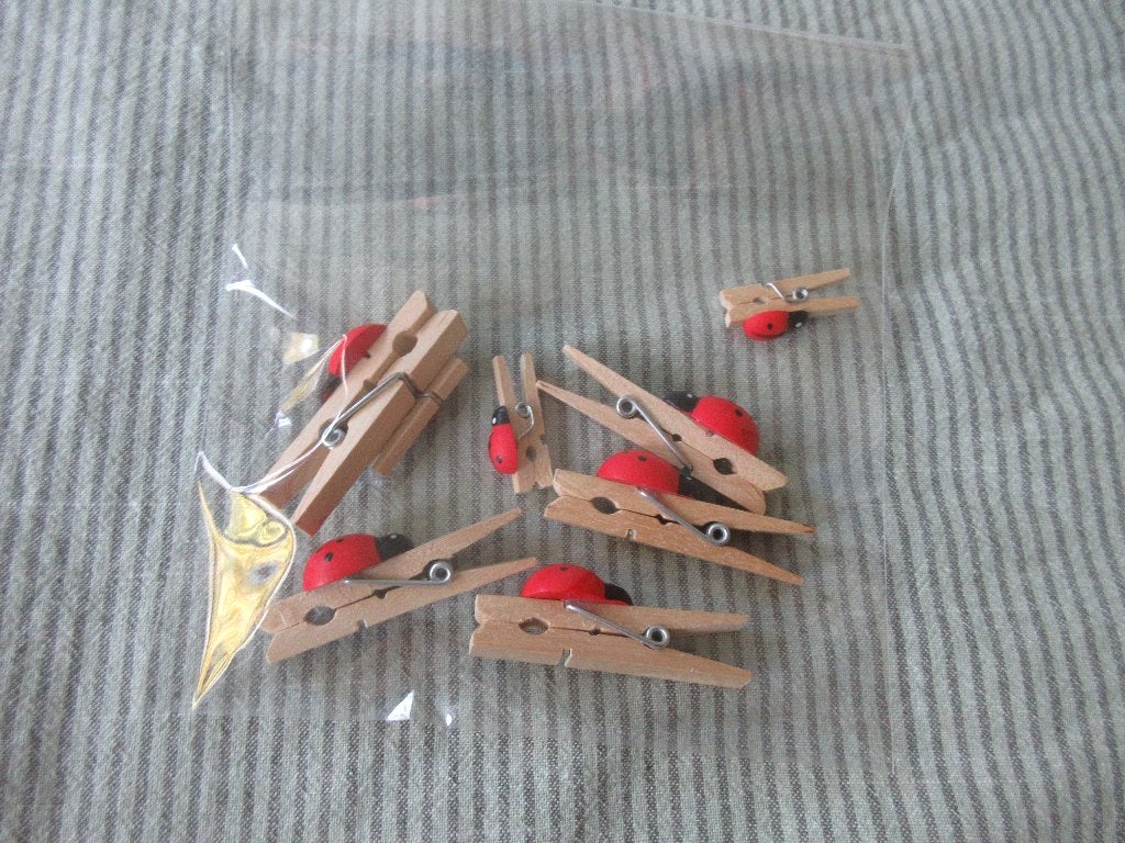 zakje houten knijpertjes lieveheersbeestjes nieuw, Ophalen of Verzenden, Nieuw