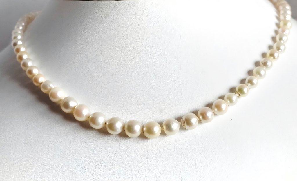 Akoya parels collier met gouden slot certificaat ALGT, Ophalen of Verzenden, Goud, Ketting