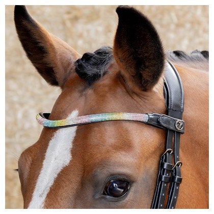 Harry’s horse frontriem rainbow nieuw, Ophalen of Verzenden, Nieuw, Frontriem
