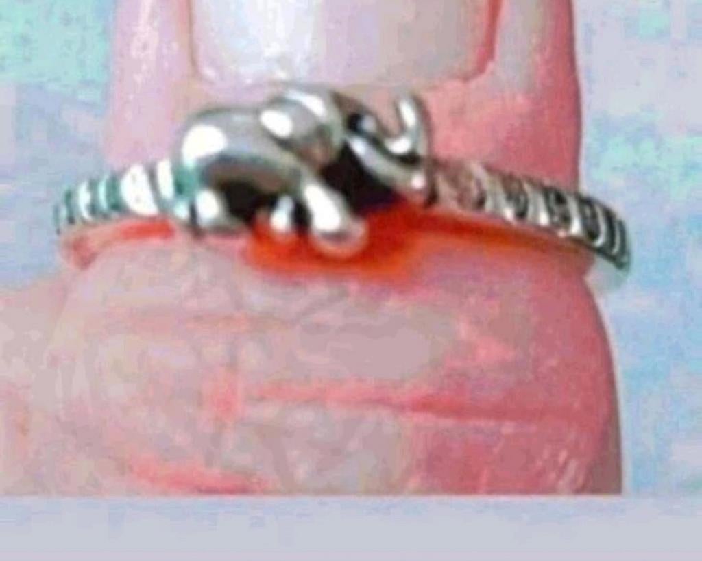 Zilveren ring olifant maat 17, Verzenden, Nieuw, Zilver, Zilver