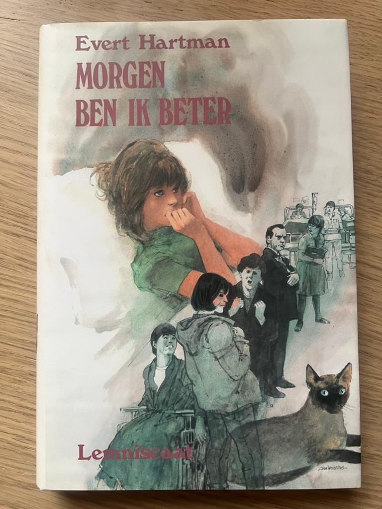 Evert hartman - morgen ben ik beter (ophalen), Boeken, Ophalen, Gelezen, Fictie