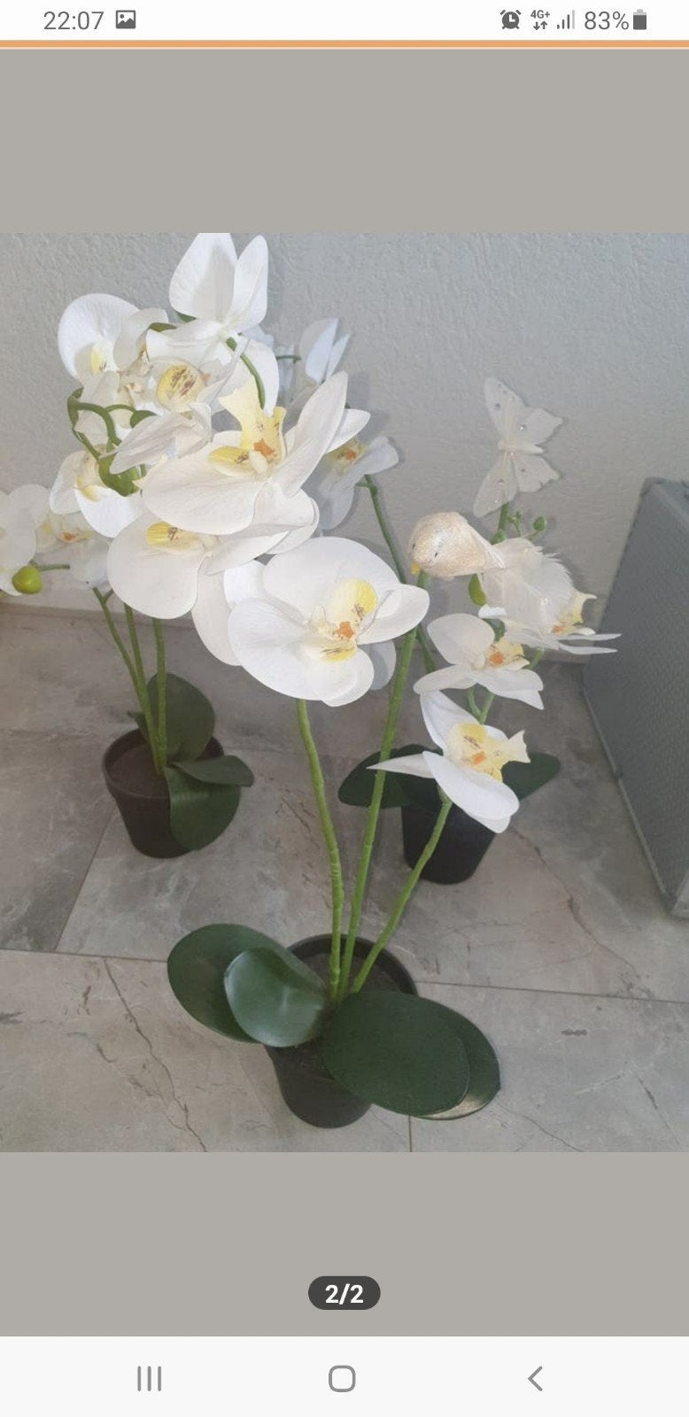 plant, Ophalen