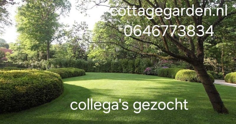 hoveniers gezocht vaste baan, Vacatures, 33 - 40 uur, Overige niveaus, Starter, Vast contract