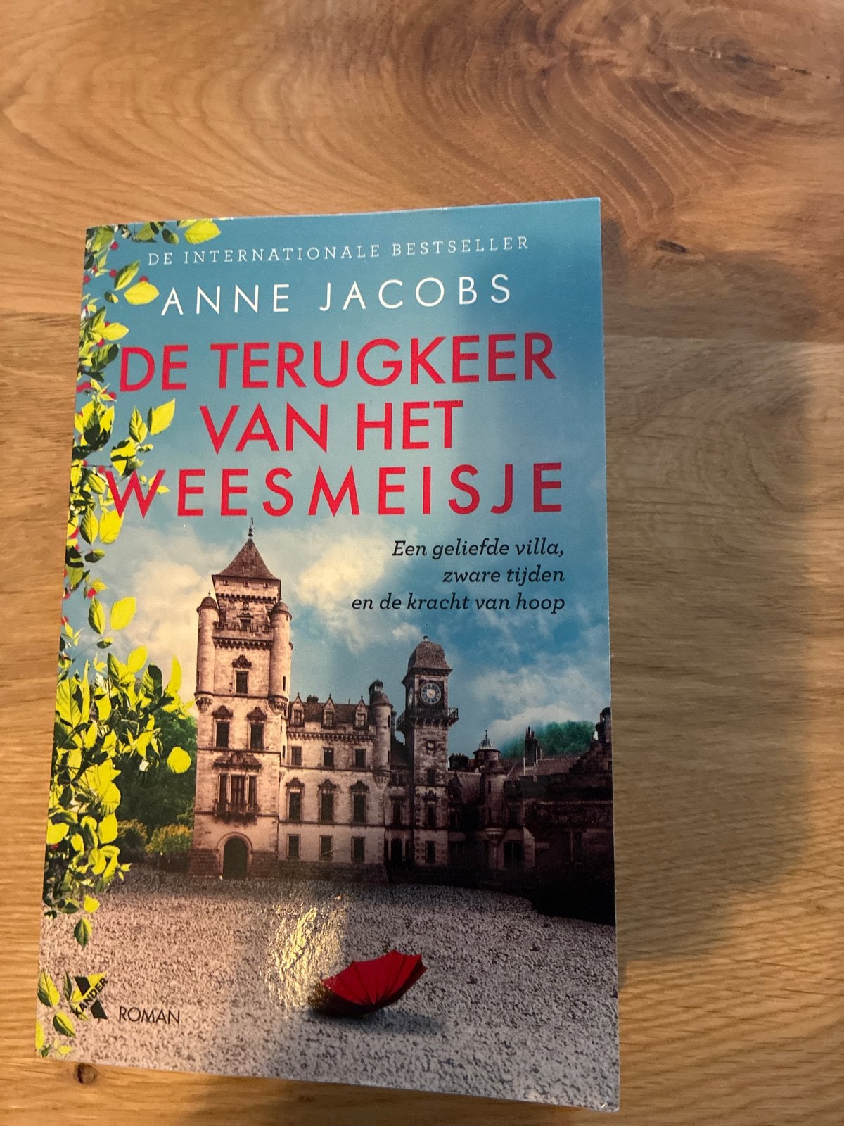De Terugkeer van het Weesmeisje - Anne Jacobs, Boeken, Ophalen of Verzenden, Gelezen, Europa overig