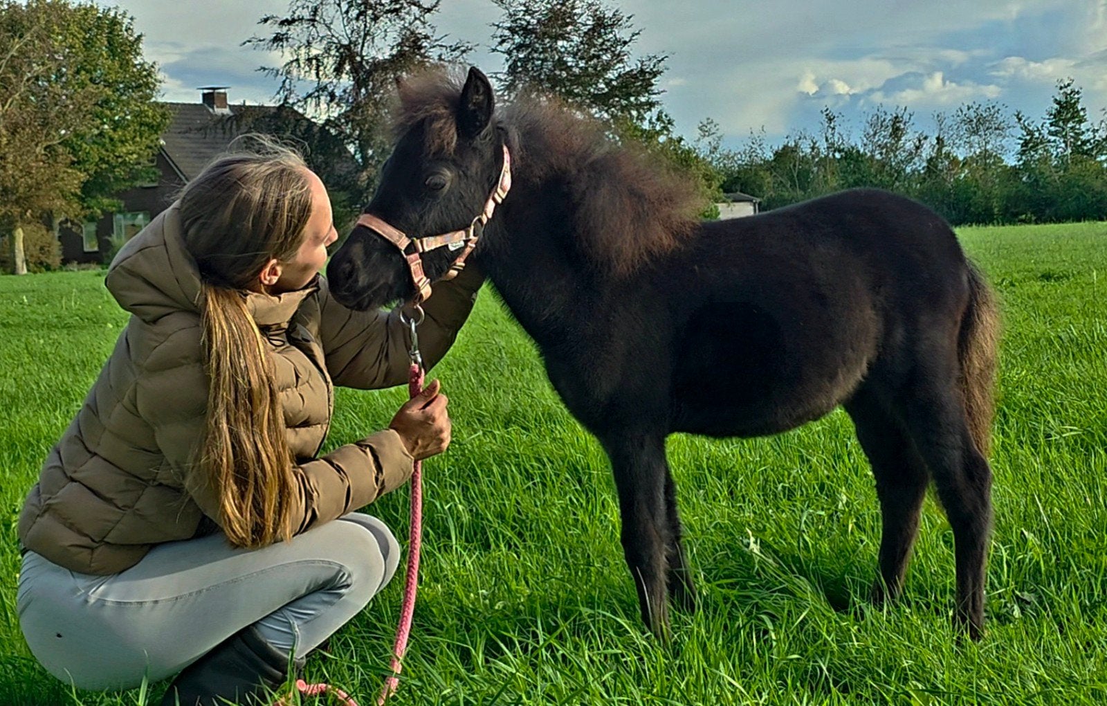 super lieve sociale kinderpony, Dieren en Toebehoren, Merrie, 0 tot 2 jaar, A pony (tot 1.17m), Gechipt