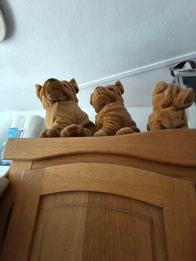 3 Honden die bij elkaar horen, Ophalen of Verzenden, Zo goed als nieuw
