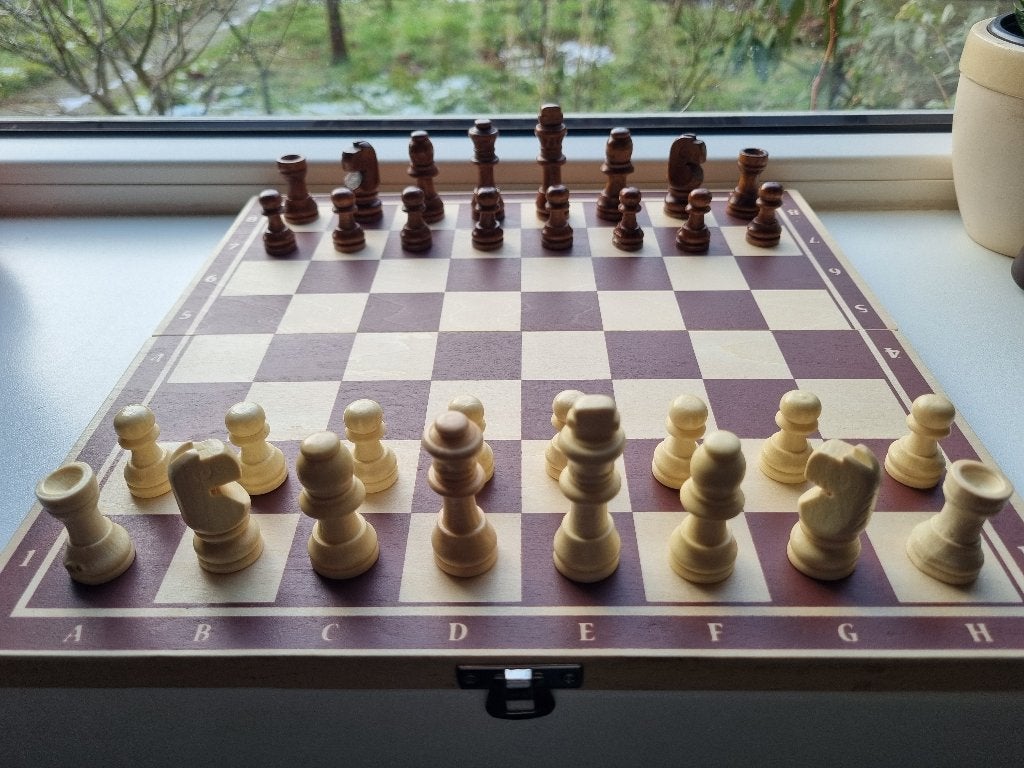 Schaken en Backgammon, Ophalen of Verzenden, Gebruikt