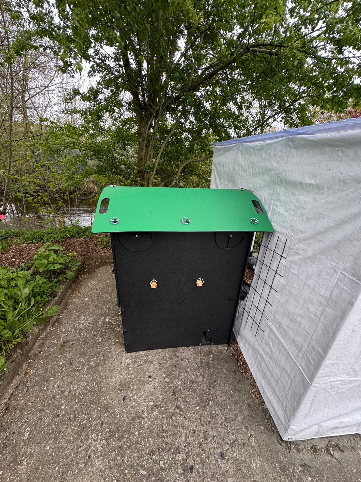 Kippennachthok Nestera L met 5 kippen en ren., Dieren en Toebehoren, Pluimvee, Vrouwelijk, Kip