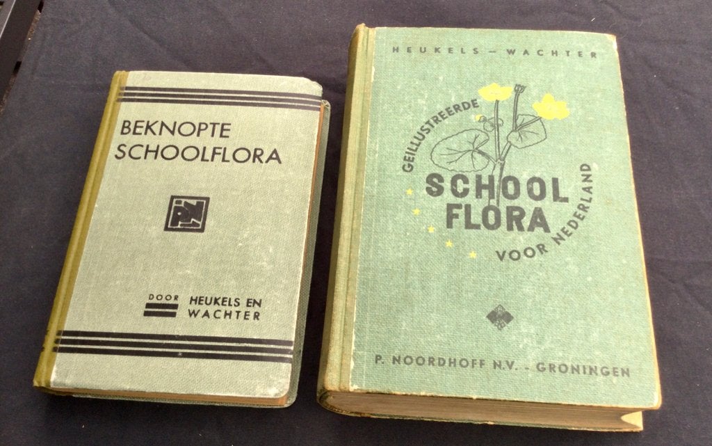 Schoolflora 1948. Beknopte schoolflora 1942 Heukels, Wachter, Boeken, Ophalen of Verzenden, Gelezen, Bloemen, Planten en Bomen