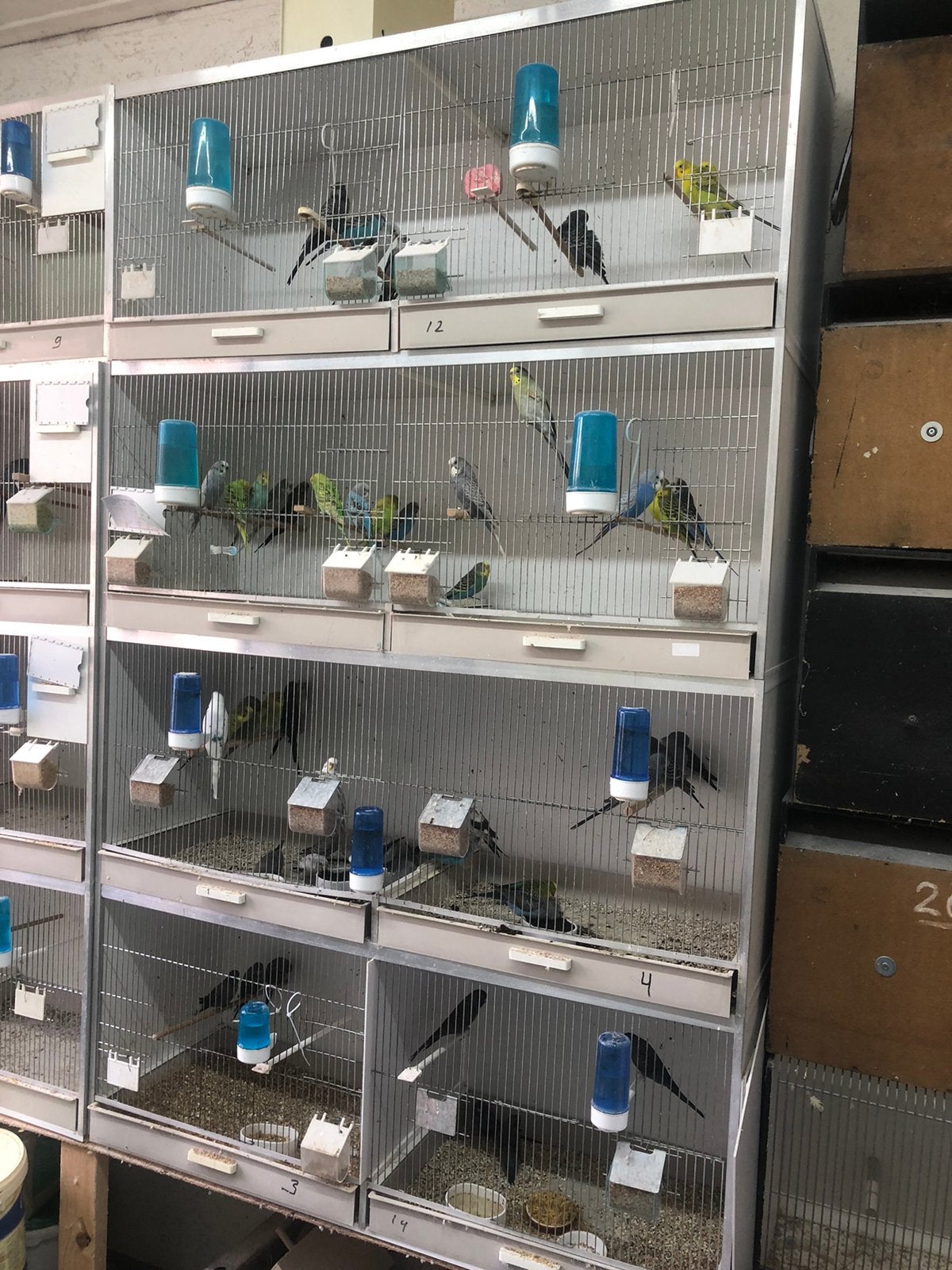GEHU kooien, Ophalen, Zo goed als nieuw, Overige materialen, Broedkooi of Kweekkooi
