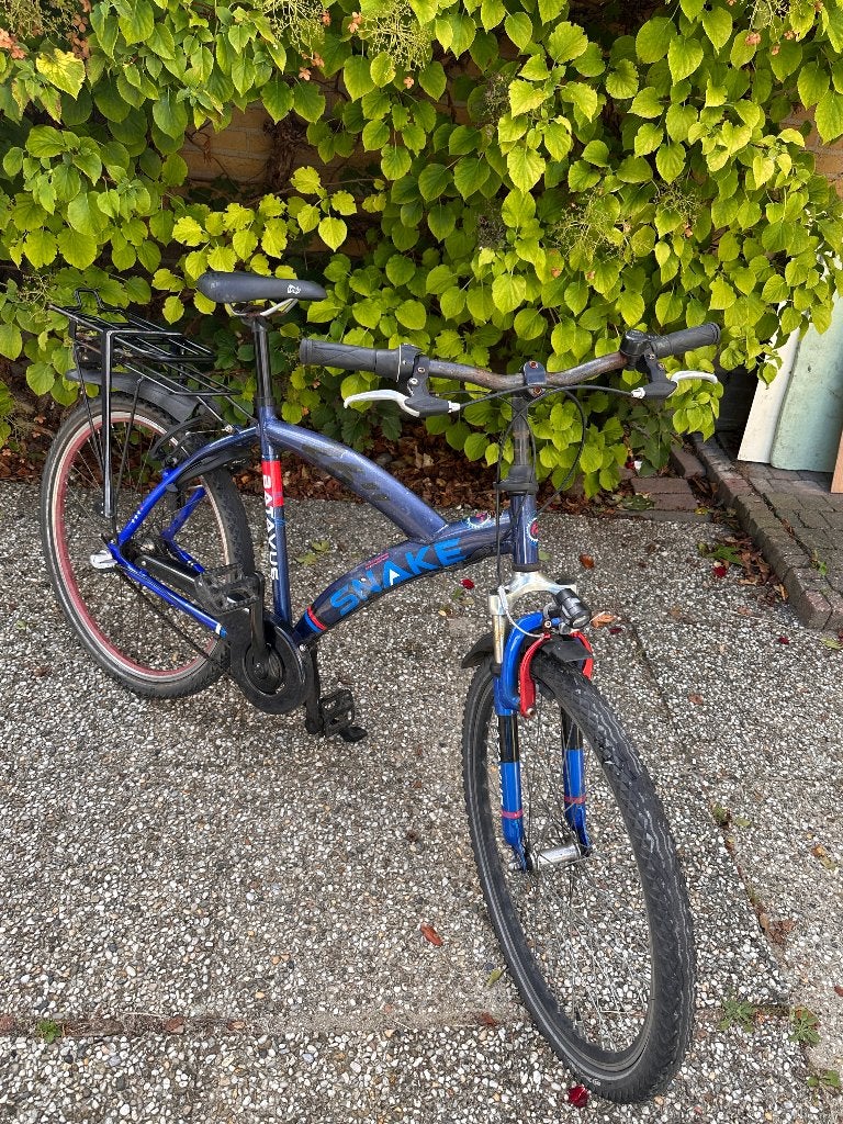 Kinderfiets Batavia Snake 26 inch, Ophalen, Gebruikt, Batavus, Terugtraprem
