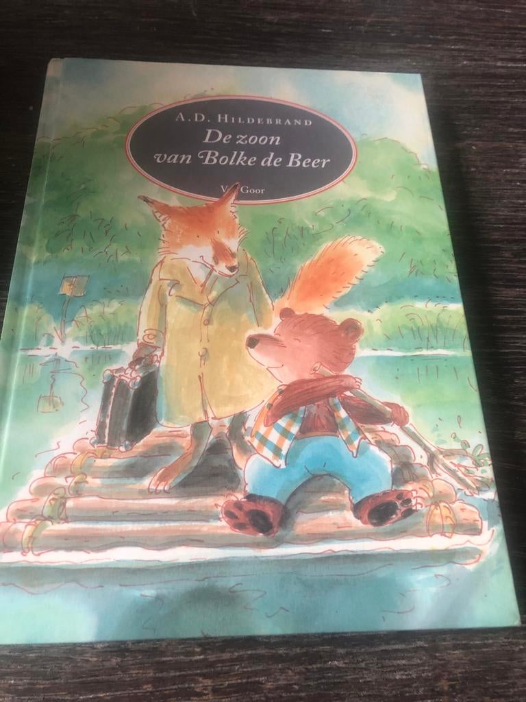 De Zoon van Bolke de Beer - A.D. Hildebrand, Ophalen of Verzenden, Zo goed als nieuw, Fictie algemeen