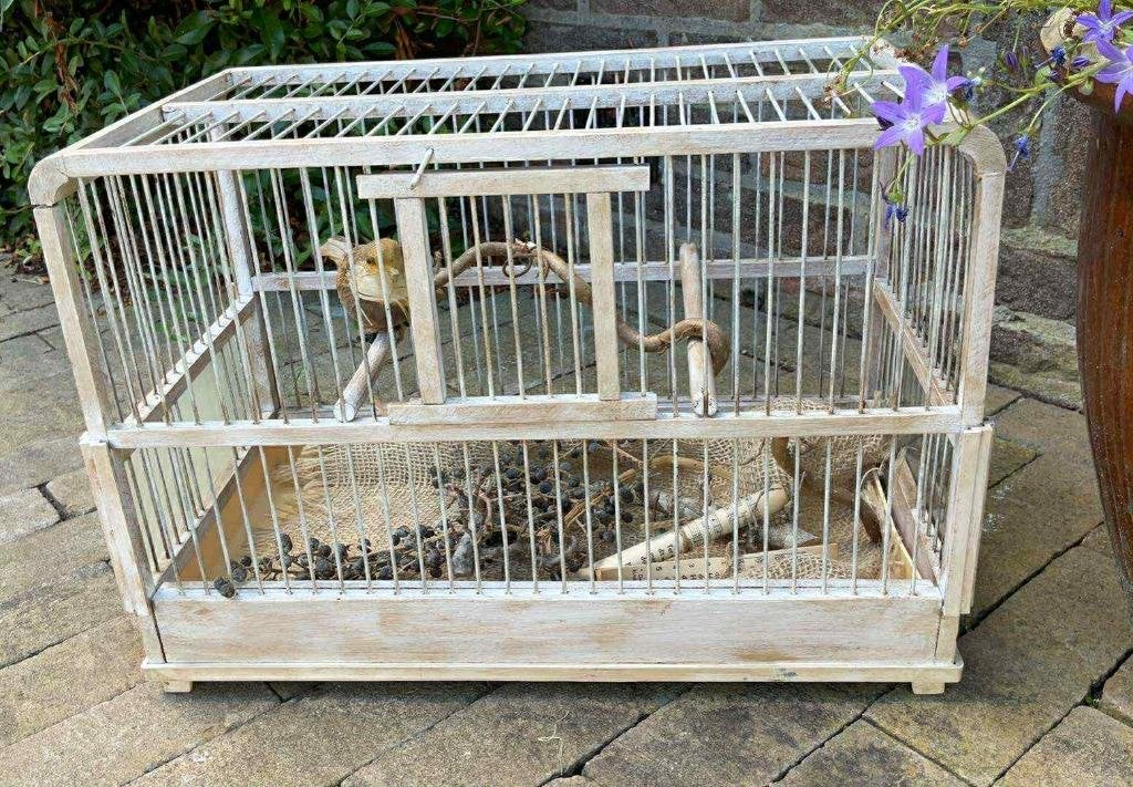 Brocante vogelkooitje, Ophalen