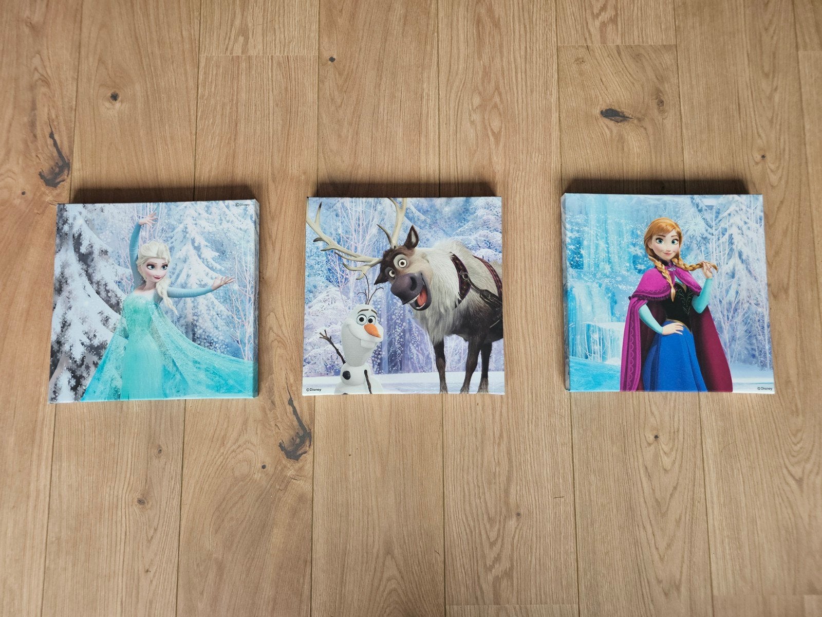 Disney Frozen Canvas Schilderijen (3 stuks) - Nieuwstaat, Minder dan 50 cm, Nieuw, Ophalen of Verzenden, Schilderij