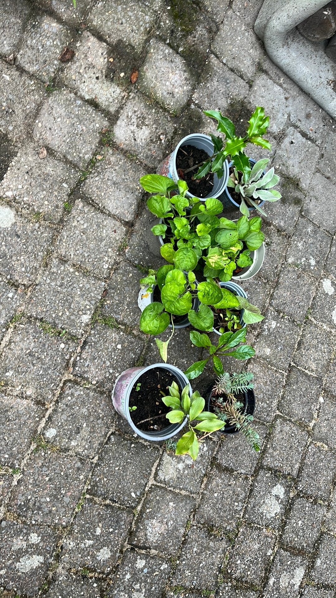 Buitenplanten, Ophalen, Tuinaarde
