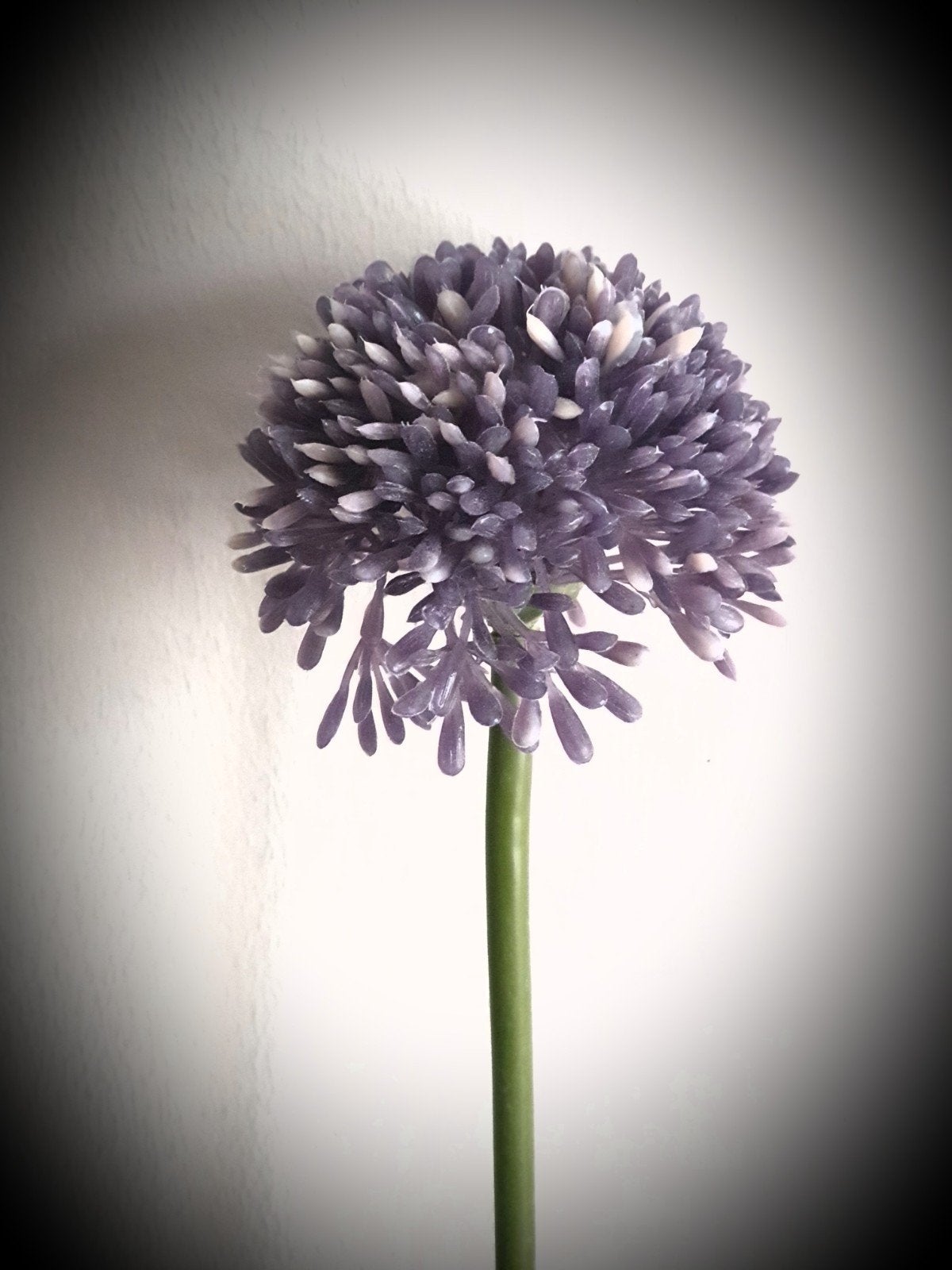 Allium lavender kunst bloem - bloemen - zijdenbloem - zijde, Ophalen of Verzenden, Nieuw, 44 cm