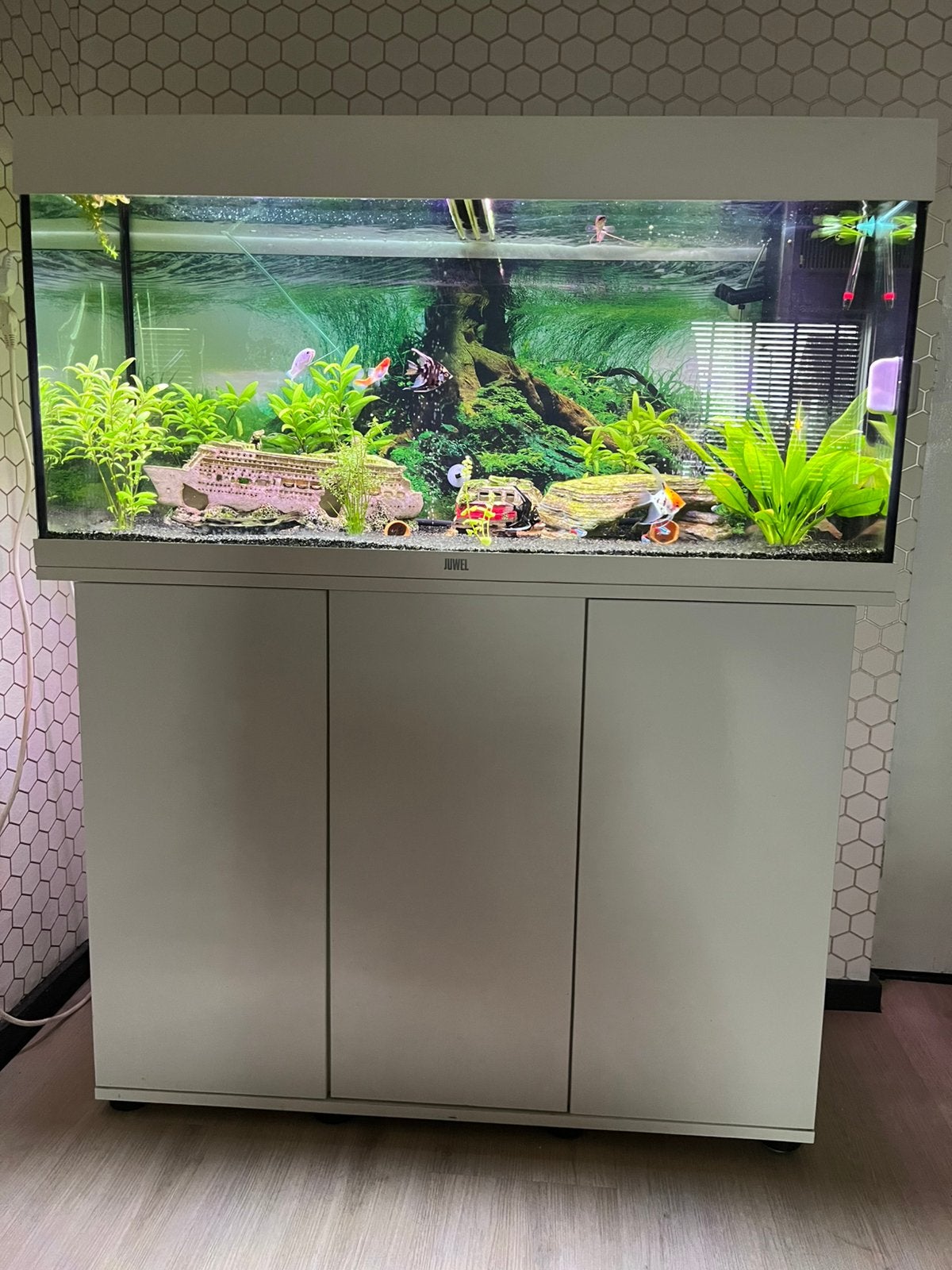 Aquarium Juwel rio 180 led, Ophalen, Gebruikt, Gevuld zoetwateraquarium