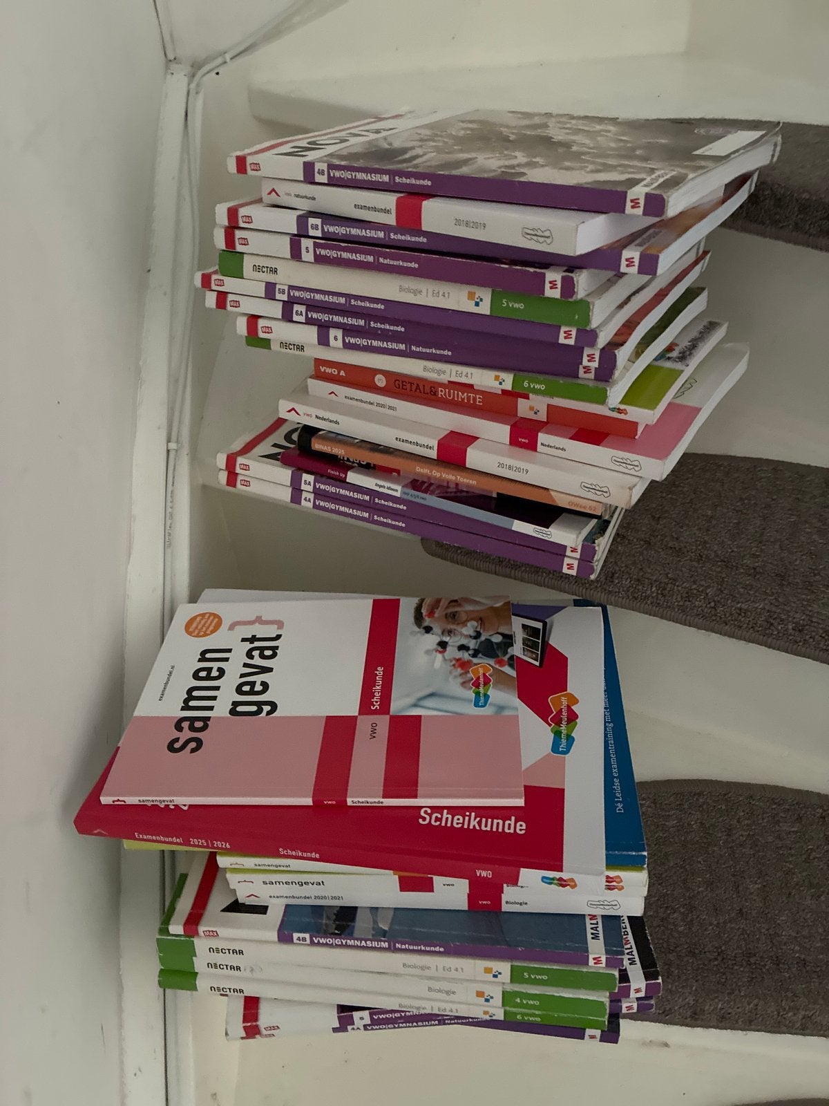 Diverse Examenbundels VWO - Scheikunde, Biologie, Natuurkund, Boeken, Ophalen of Verzenden, Beta, Gelezen, WO