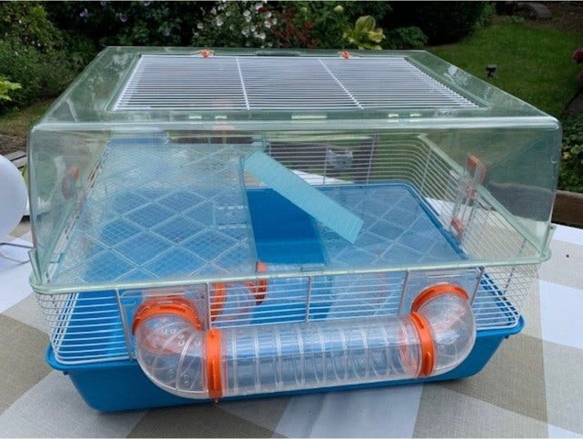 Hamsterhok met toebehoren, Dieren en Toebehoren, Gebruikt, Minder dan 75 cm, Ophalen, Minder dan 60 cm