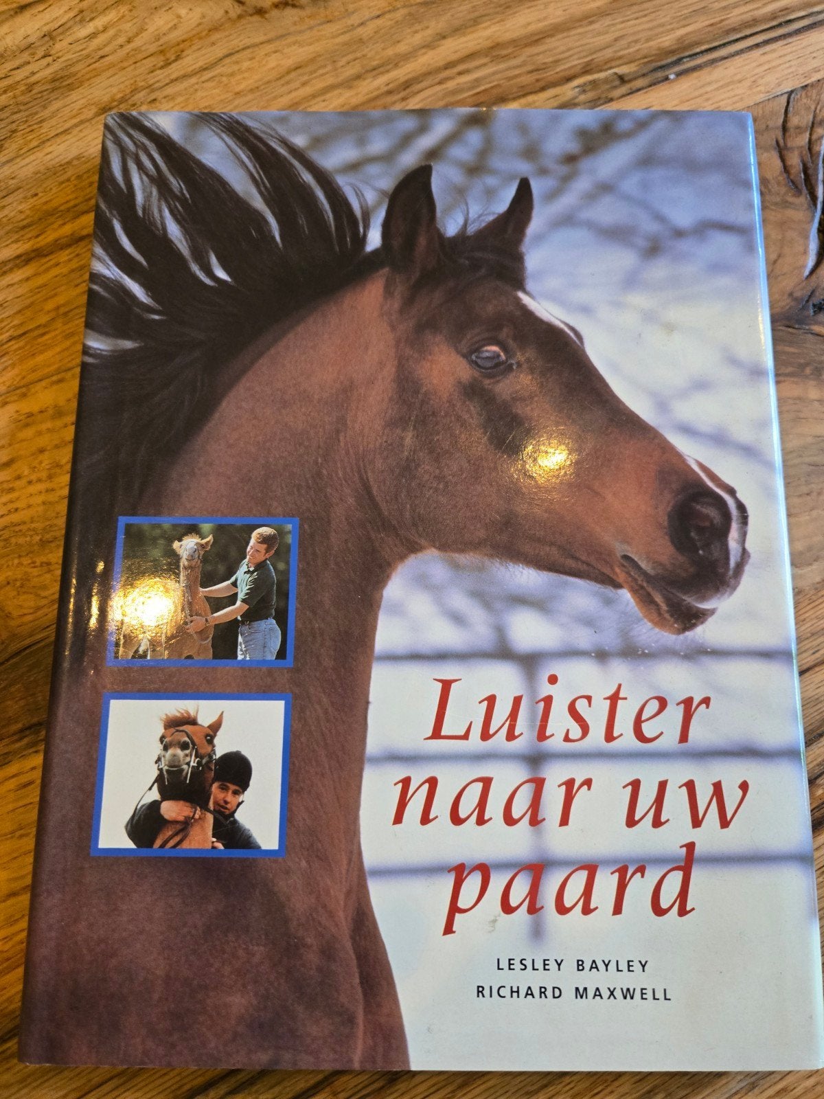 Luister naar uw paard - Lesley Bayley & Richard Maxwell, Boeken, Ophalen of Verzenden, Gelezen, Lesley Bayley, Richard Maxwell