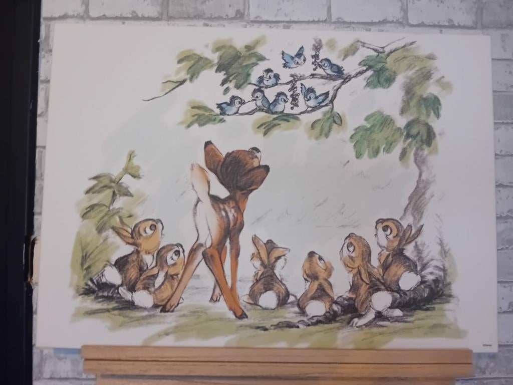 Disney canvas 70x50., Ophalen of Verzenden, Nieuw, Borduurpakket
