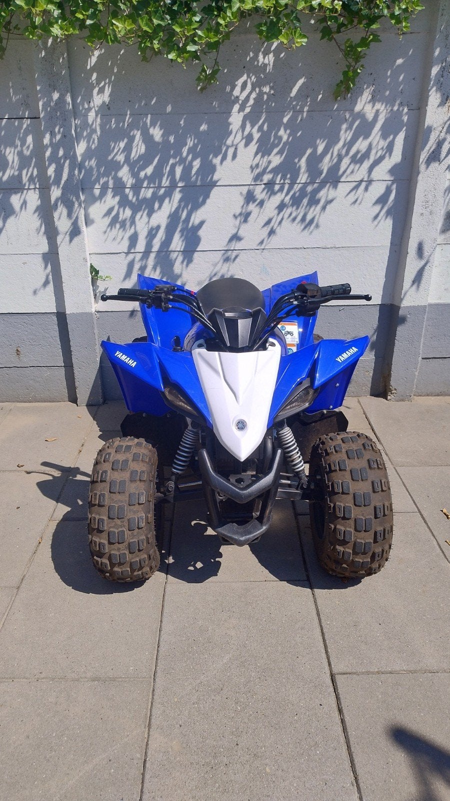 Yamaha YFZ 50cc Kinderquad 2018 - Fris en Rijklaar!, Ophalen, Overige typen