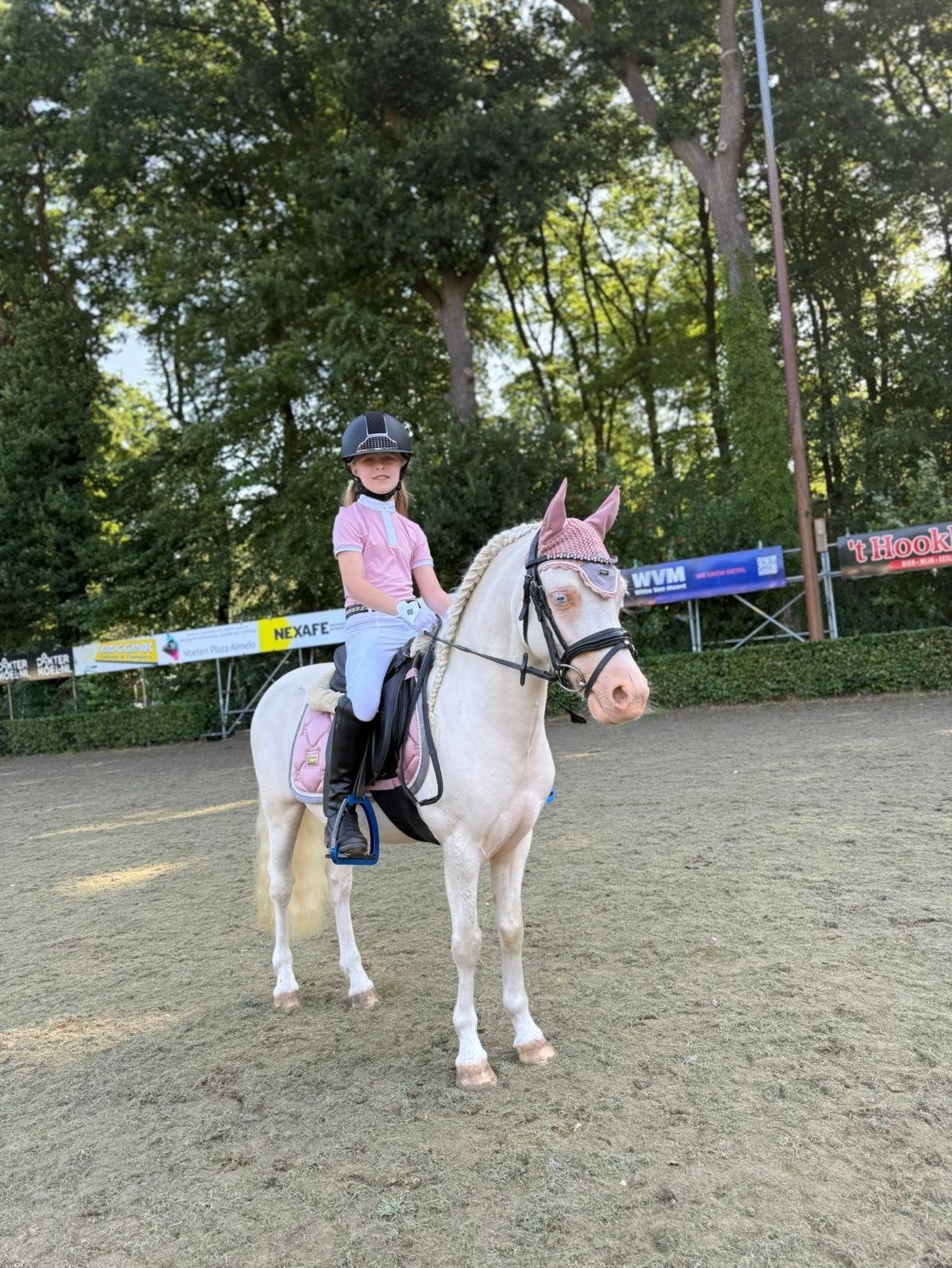 Droompony, Dieren en Toebehoren, Ruin, Dressuurpony, A pony (tot 1.17m), 3 tot 6 jaar