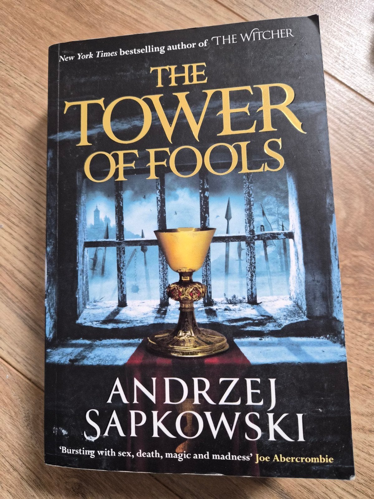The Tower of Fools - Andrzej Sapkowski (Engels), Boeken, Ophalen of Verzenden, Zo goed als nieuw, Andrzej Sapkowski
