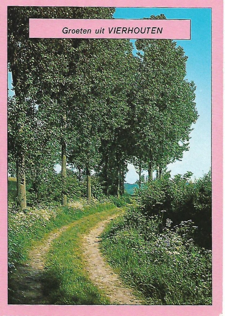 Vierhouten- -Pad langs de bosrand., Verzenden, 1980 tot heden, Gelopen, Gelderland