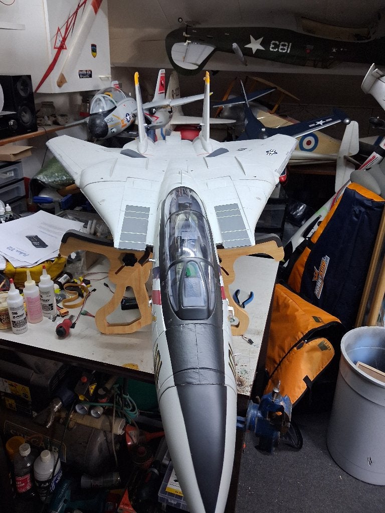 Freewing. F14 Tomcat Twin 80mm EDF Jet, Hobby en Vrije tijd, Modelbouw | Radiografisch | Vliegtuigen, Ophalen, Gebruikt, Elektro