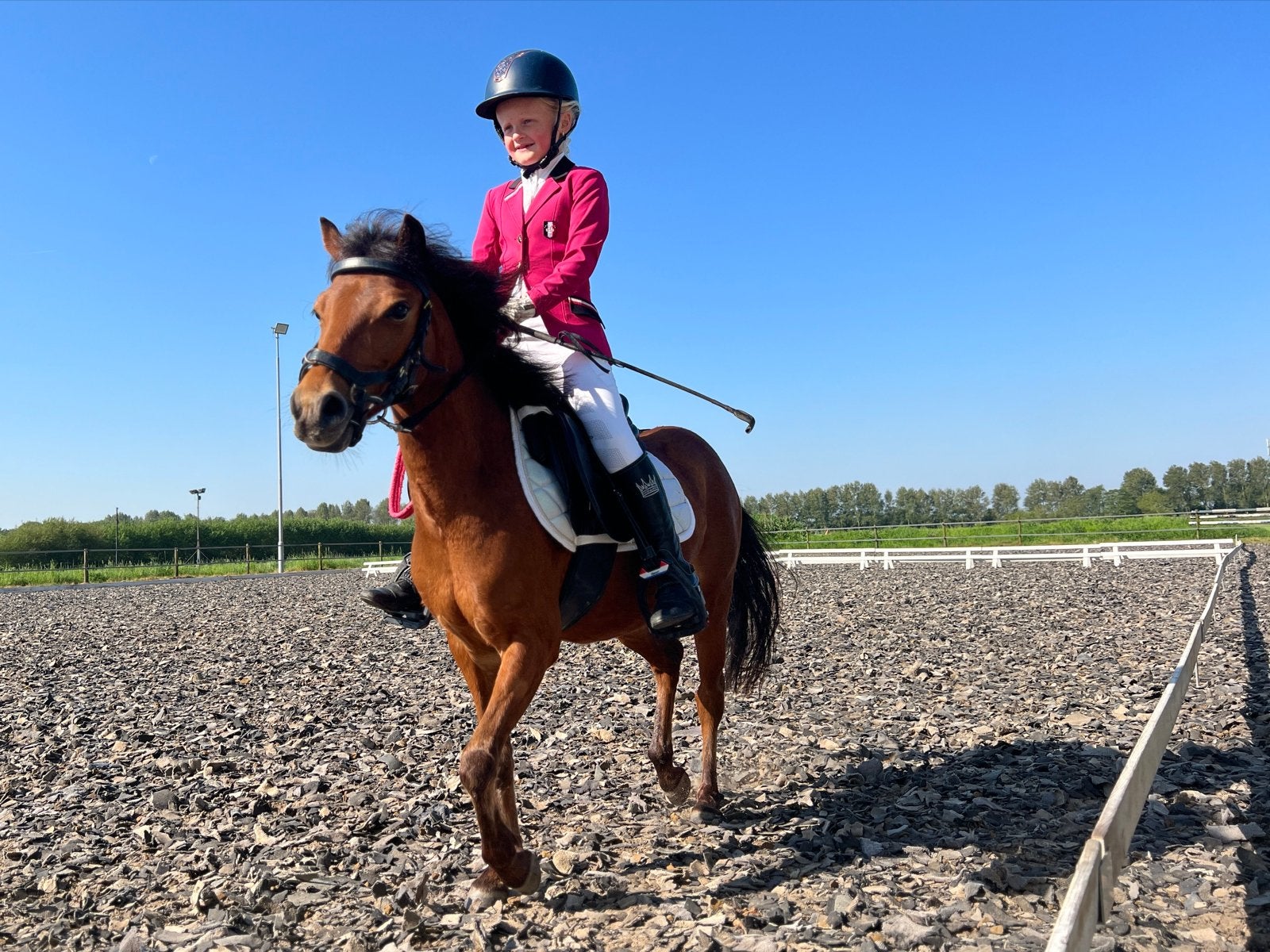 Fantastische A-pony te koop, Ruin, Recreatiepaard