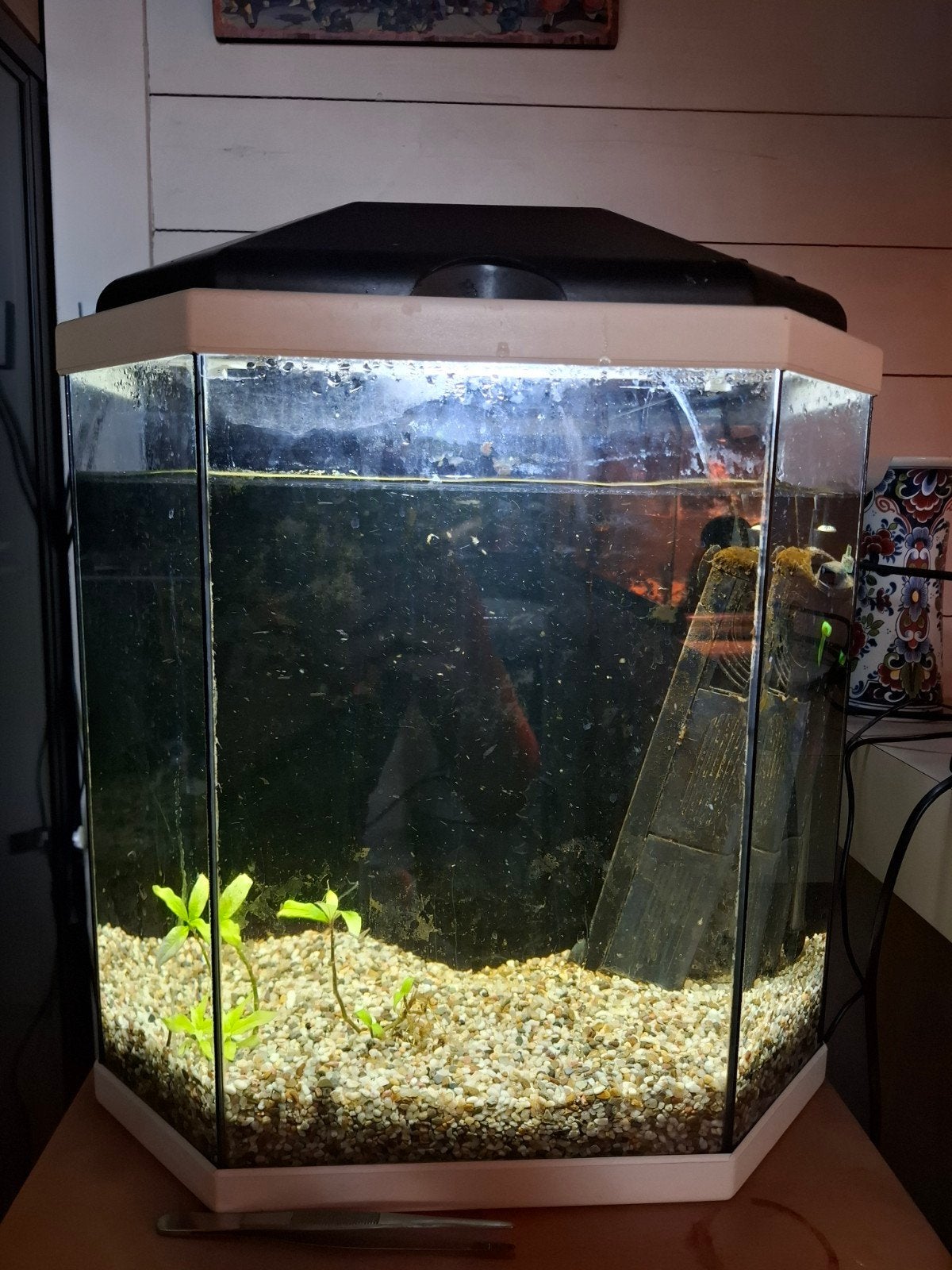 Aquarium klein met toebehoren, Ophalen, Leeg aquarium