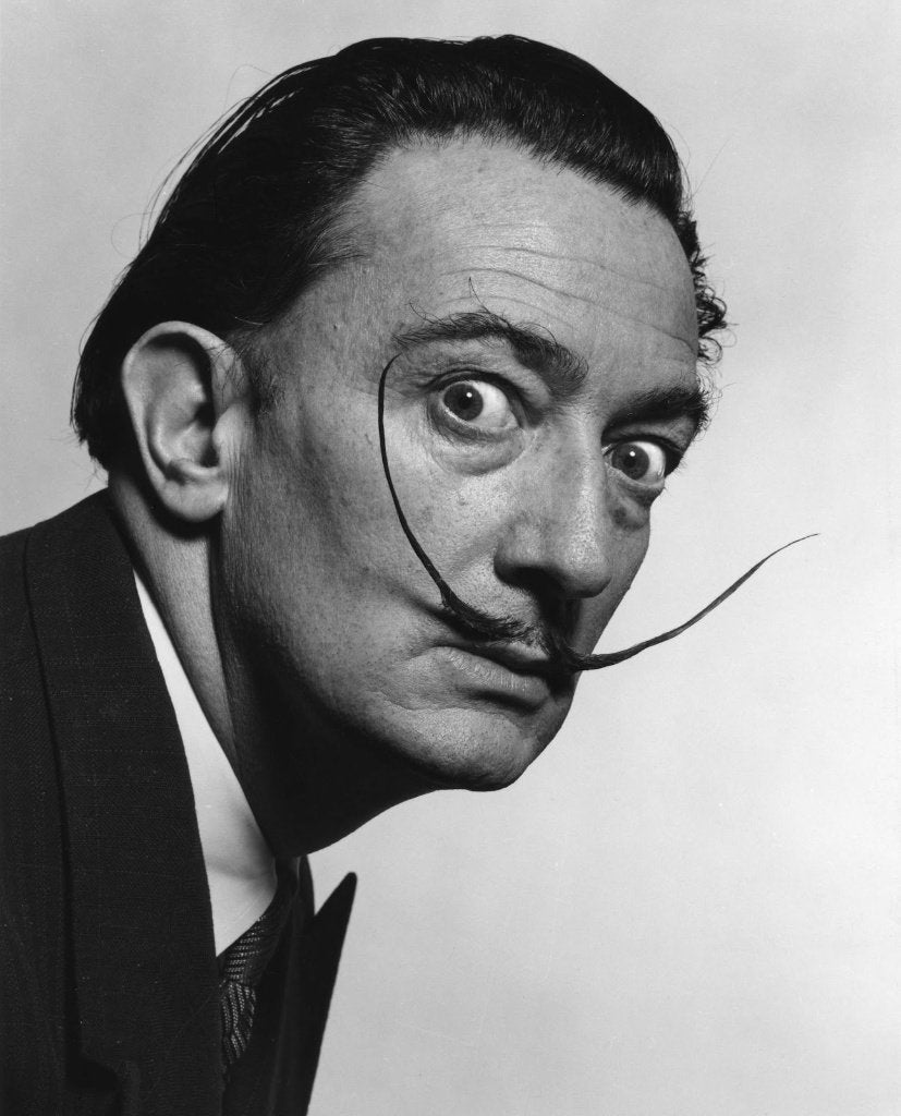 Salvador Dalí - nieuw ingelijste foto van een bekend werk, Ophalen of Verzenden, Foto, Overige technieken, Ingelijst