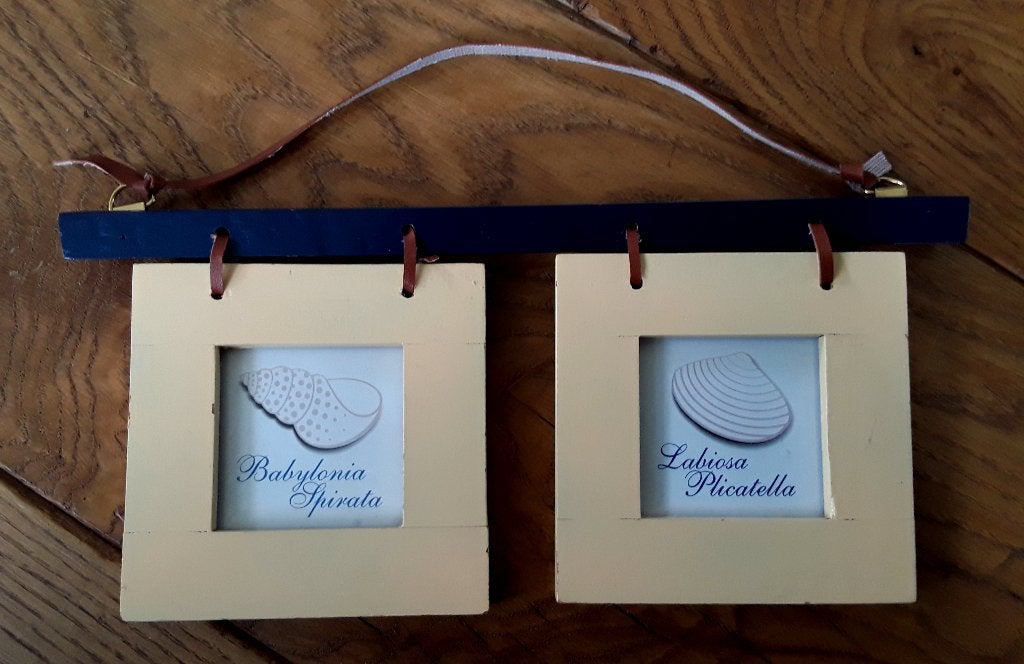 Fotolijstje voor 2 foto s - om op te hangen, Gebruikt, Ophalen of Verzenden, Fotolijst, Met glas