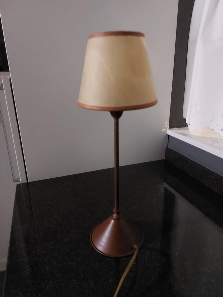 Schemerlampje, Ophalen of Verzenden, Zo goed als nieuw, Minder dan 50 cm