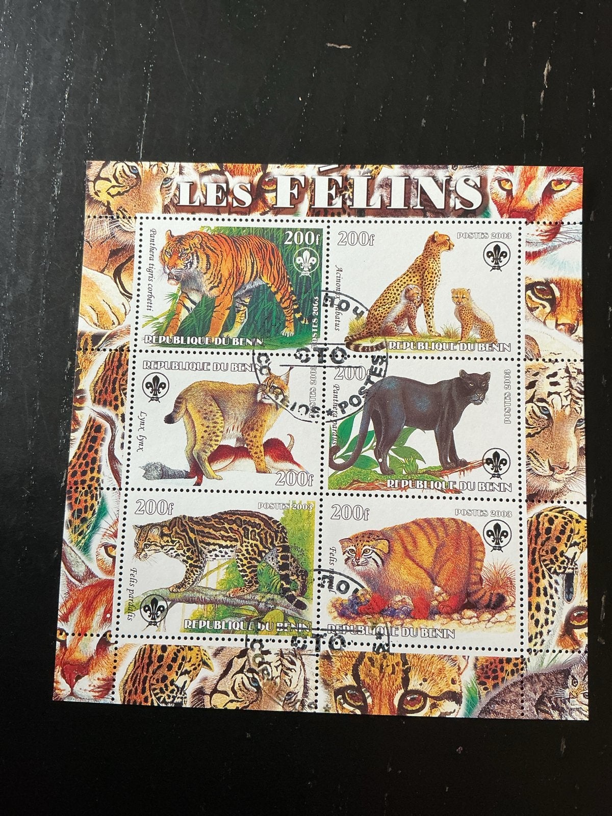 Postzegelvel Benin - Katachtigen (Les Félins), Ophalen of Verzenden, Postfris, Dier of Natuur
