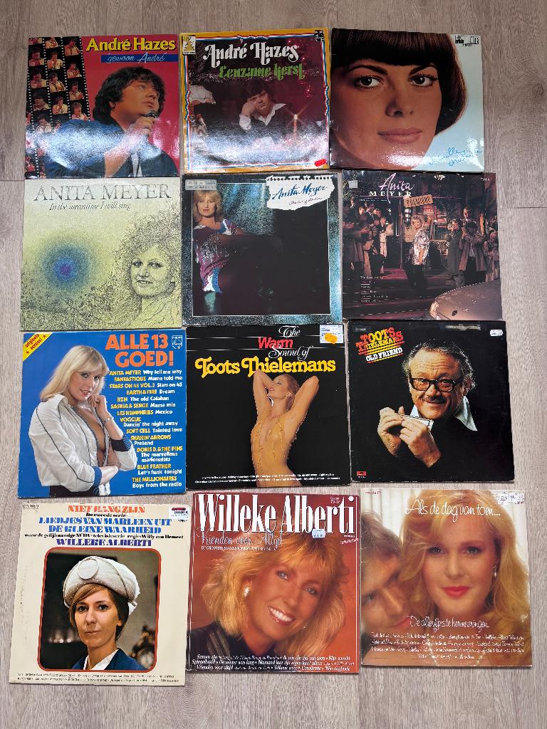 Vinyl LP - Divers (Hazes, Meyer, Songfestival, Alberti e.a.), Ophalen of Verzenden, Gebruikt, 12 inch, Levenslied of Smartlap