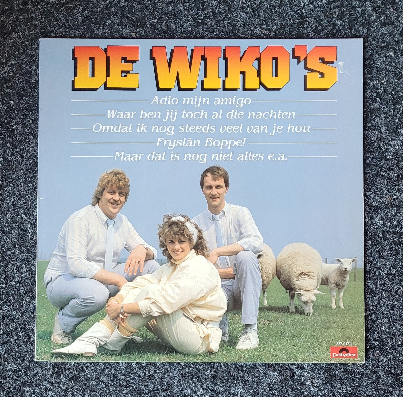 De Wiko's, Ophalen of Verzenden, Gebruikt, 12 inch, Levenslied of Smartlap