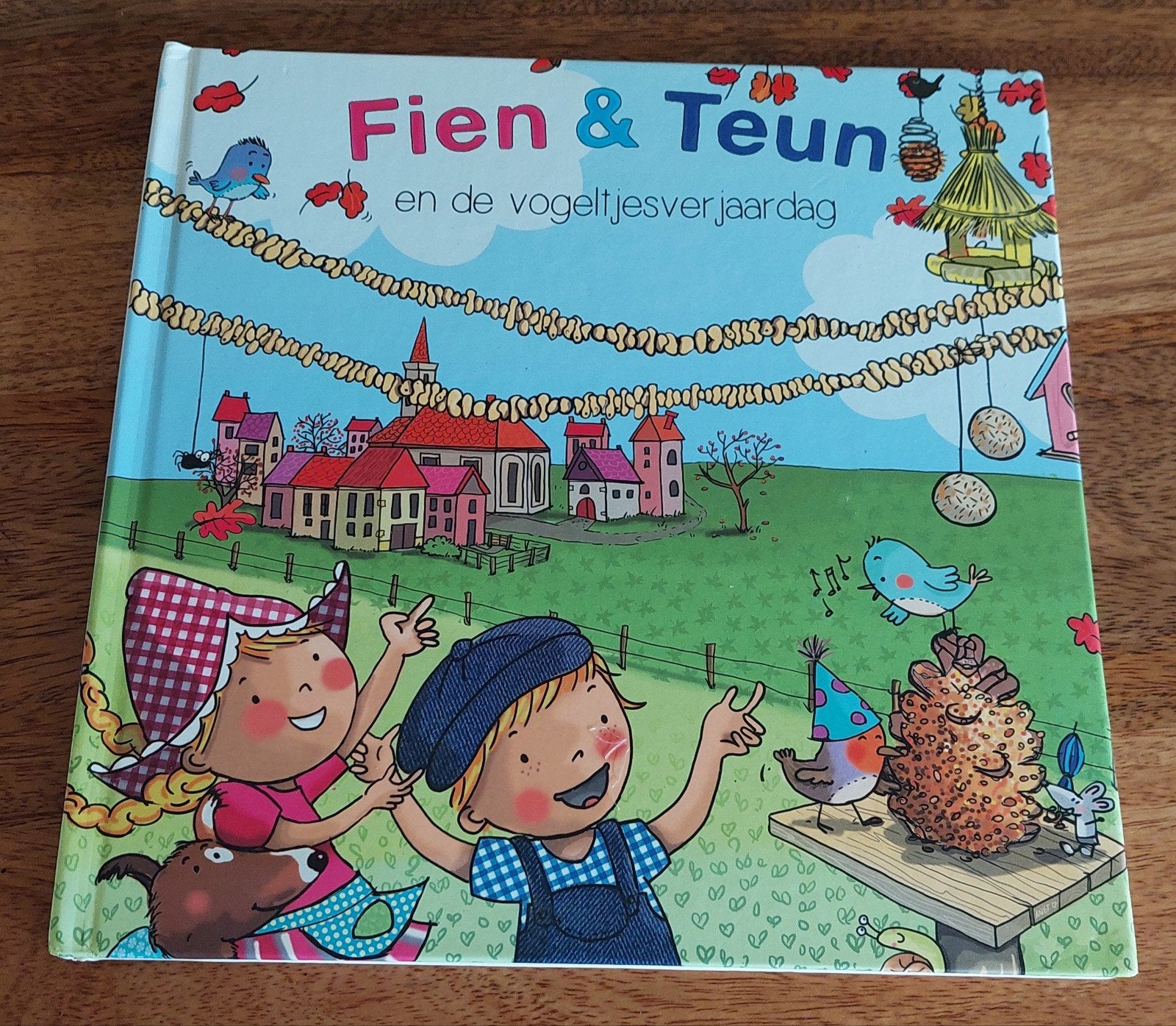 Fien & Teun en de vogeltjesverjaardag, Fictie algemeen, Jongen of Meisje, Ophalen of Verzenden, Zo goed als nieuw