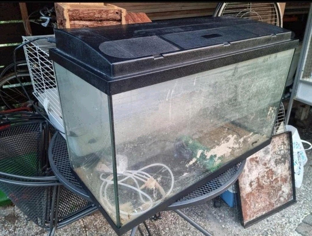 Keurig zeer ruim aquarium 80 x 40cm inclusief toebehoren !, Ophalen, Inclusief deksel, Zo goed als nieuw, Leeg aquarium