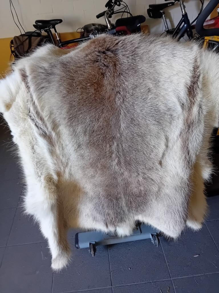 Prachtige rendiervacht - Natuurlijke decoratie, Ophalen, Gebruikt, Meerkleurig, Landelijk