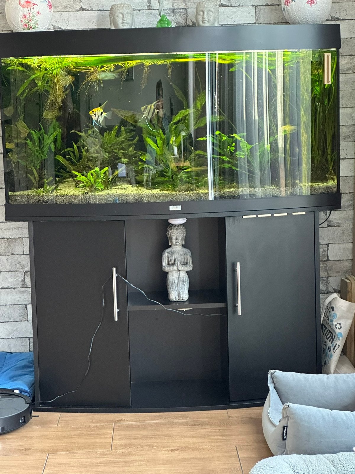 Juwel vision 260, Ophalen, Zo goed als nieuw, Leeg aquarium