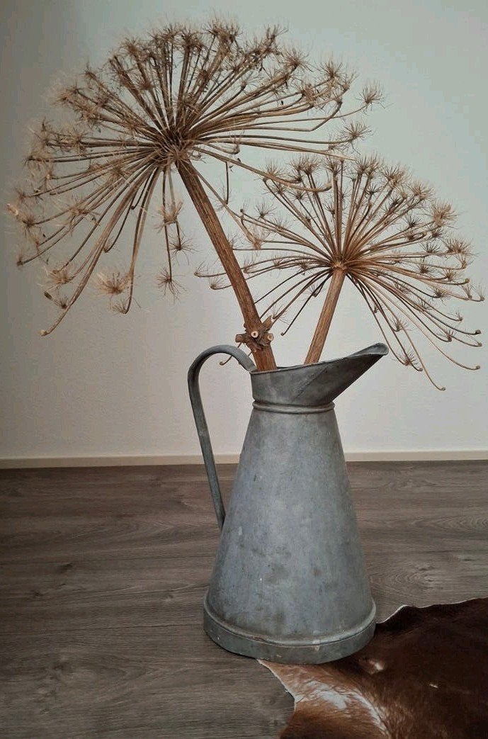 Brocante zinken kan met gedroogde berenklauwen, Ophalen